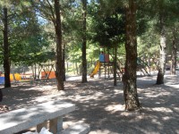 /album/galeria-de-fotos1/a017-jpg/