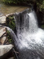 /album/galeria-de-fotos1/img-20140531-164833-jpg/